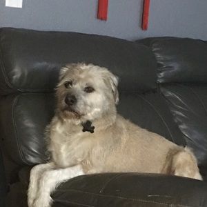 Meet your Posher, Tom